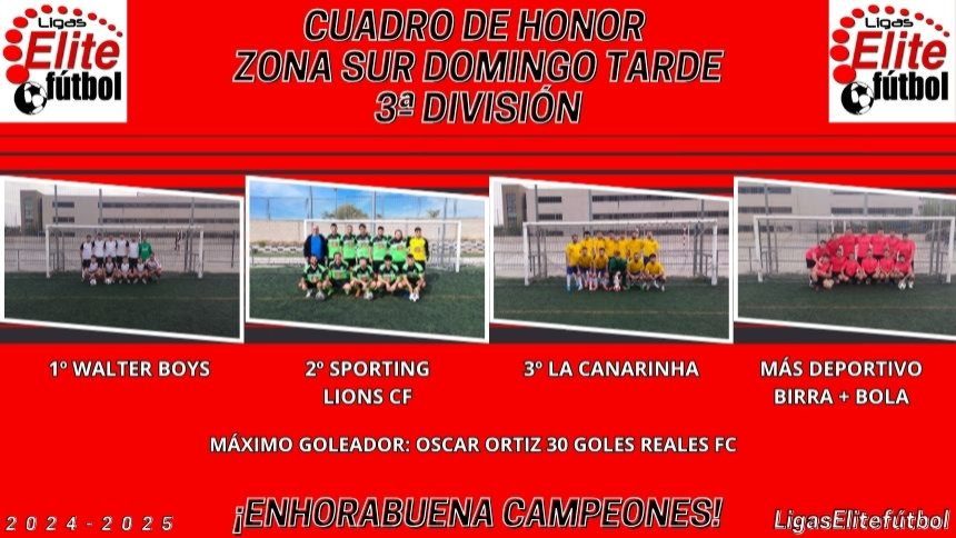 CUADRO DE HONOR. ZONA SUR DOMINGO TARDE 3ª DIVISIÓN